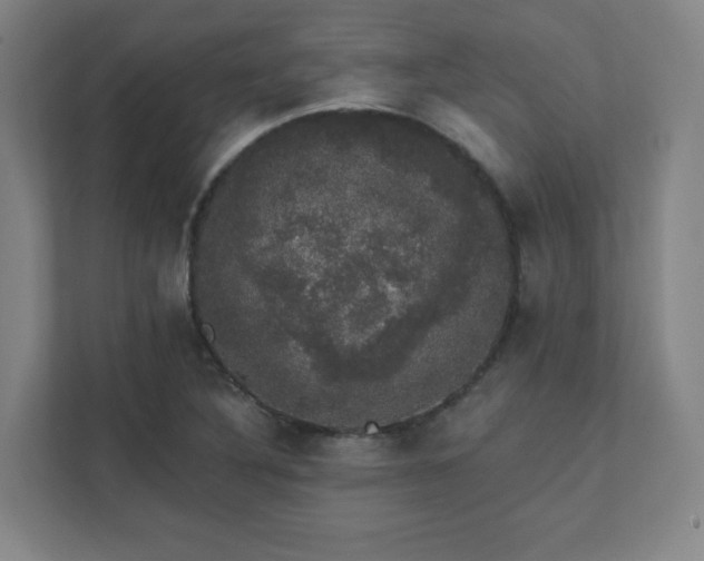 X0000111441316200907201121