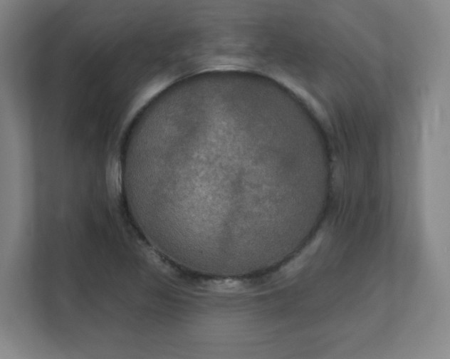 X0000111441317200907201121