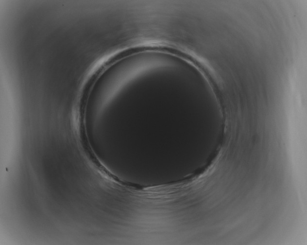 X0000111441319200907201121