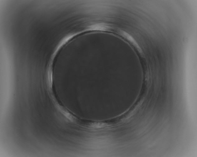 X0000111441323200907201121