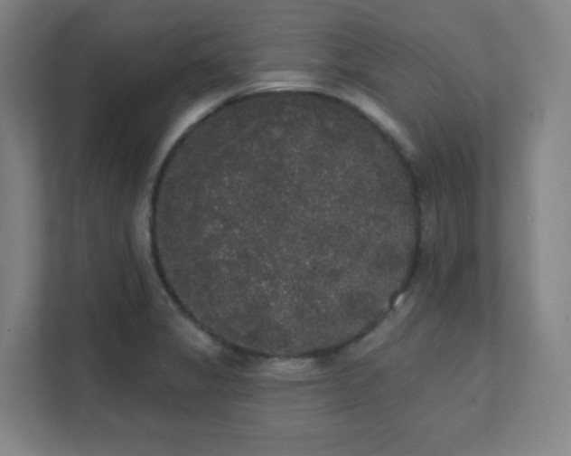 X0000111441325200907201121