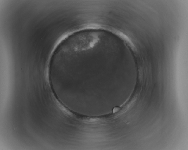 X0000111441326200907201121