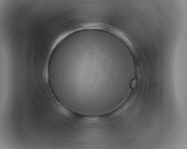 X0000111441328200907201121