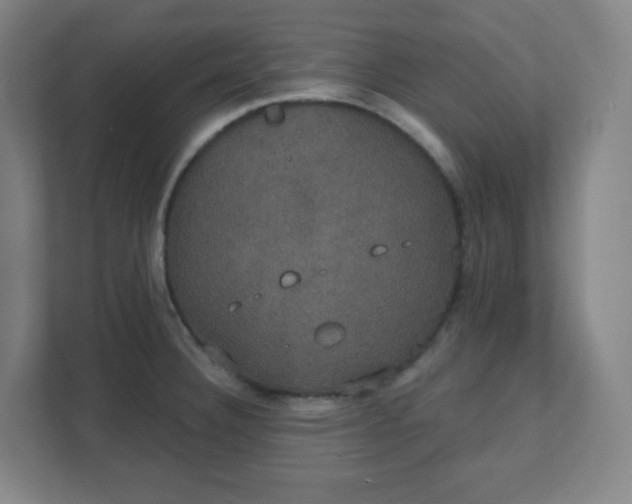 X0000111441332200907201121