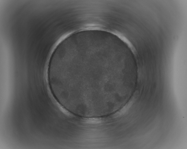 X0000111441333200907201121
