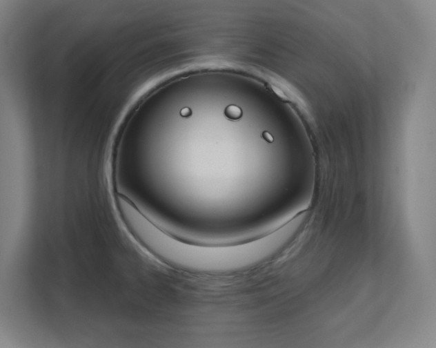 X0000111441334200907201121