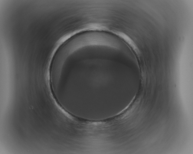 X0000111441335200907201121