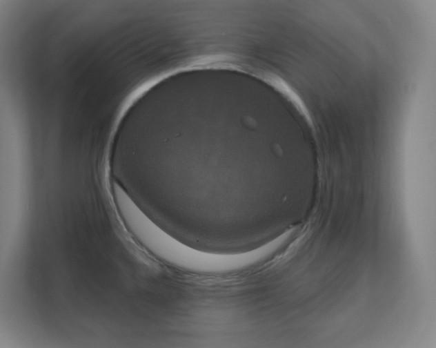 X0000111441336200907201121