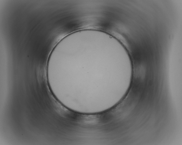 X0000111441338200907201121