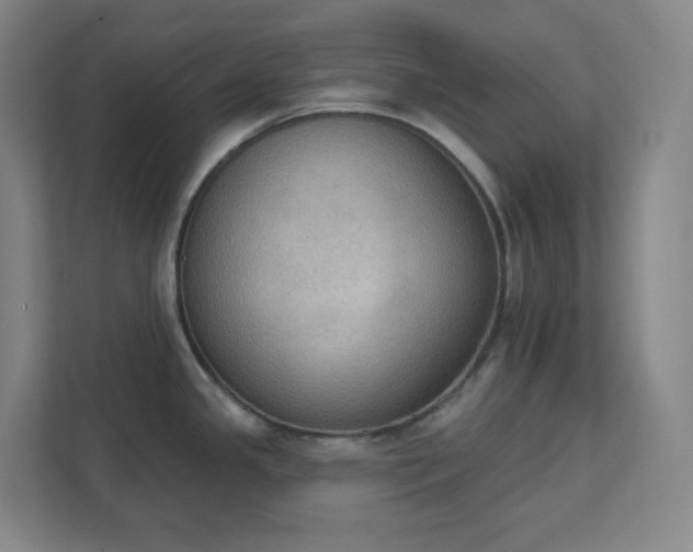 X0000111441341200907201121