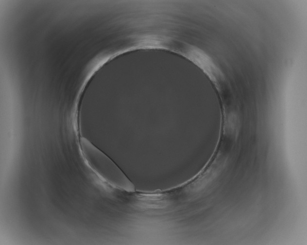 X0000111441342200907201121