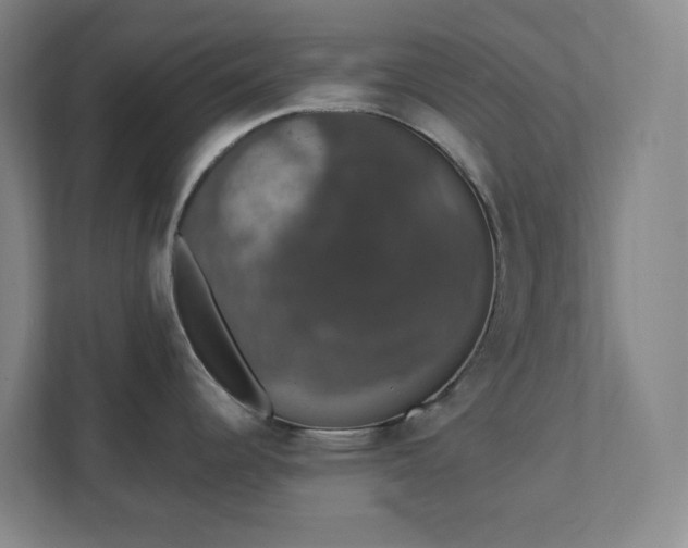 X0000111441344200907201121