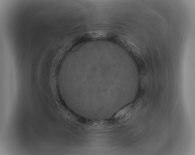 X0000111441345200907201120