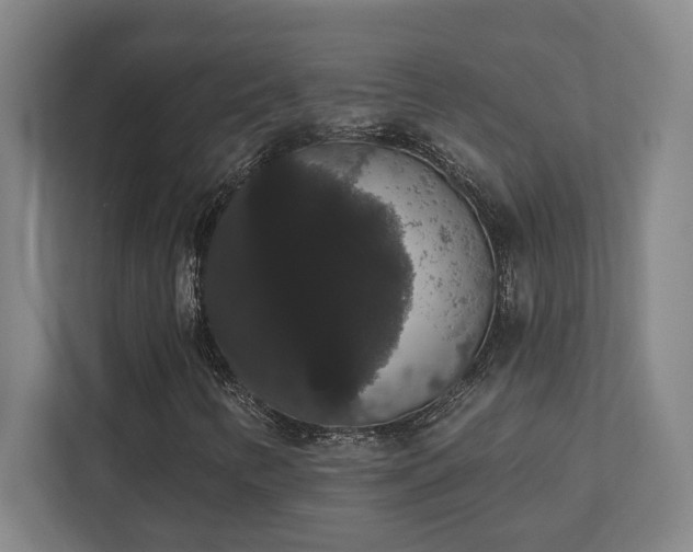 X0000111441346200907201120