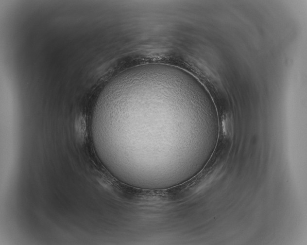 X0000111441347200907201120