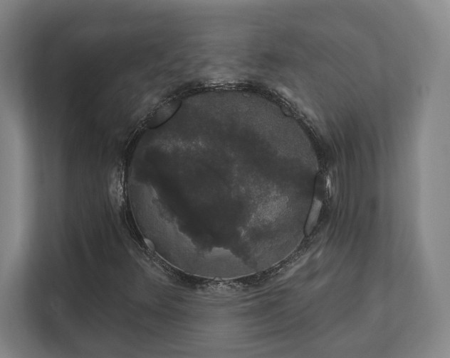 X0000111441348200907201120