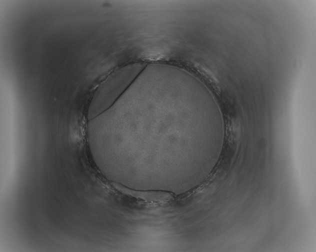 X0000111441349200907201120