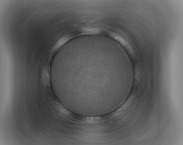 X0000111441354200907201120
