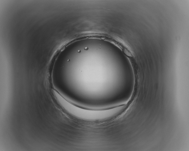 X0000111441357200907201120
