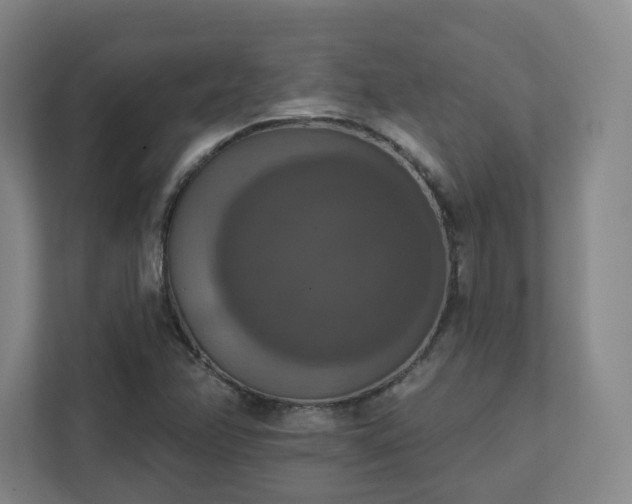 X0000111441358200907201120