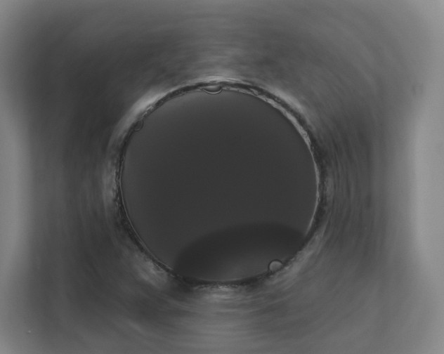 X0000111441359200907201120