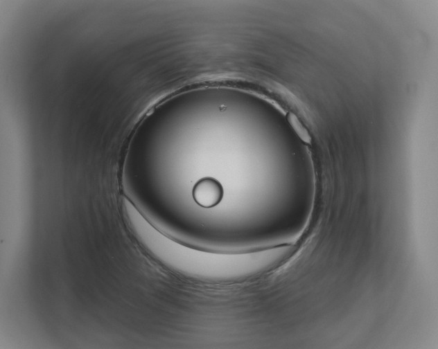 X0000111441361200907201120