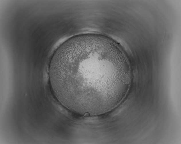 X0000111441363200907201120
