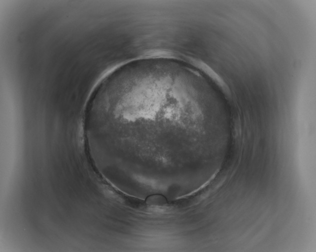 X0000111441364200907201120
