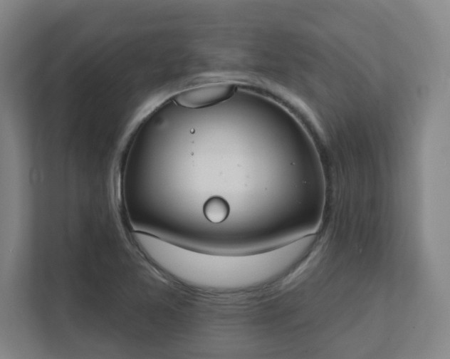 X0000111441365200907201120