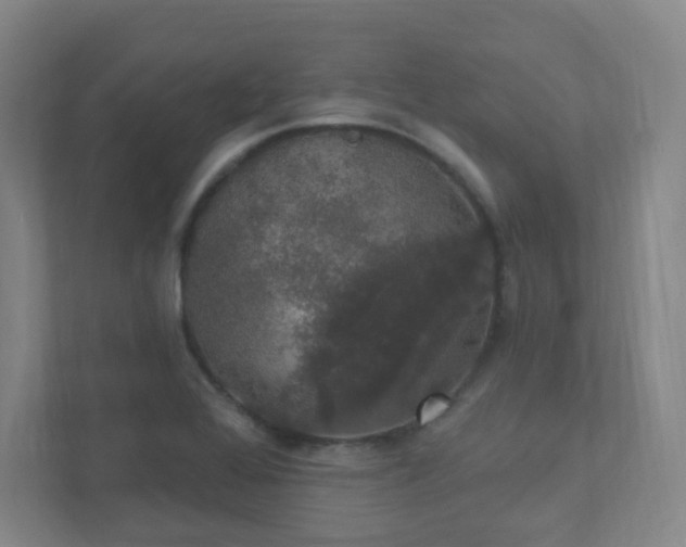 X0000111441368200907201120
