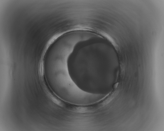 X0000111441371200907201120