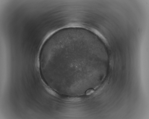 X0000111441372200907201120