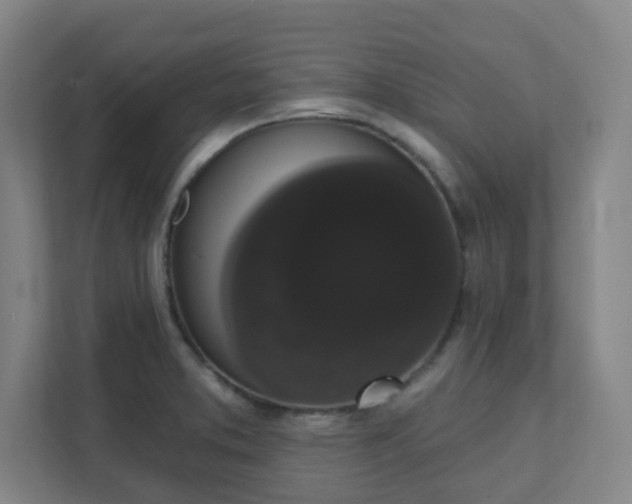 X0000111441373200907201120