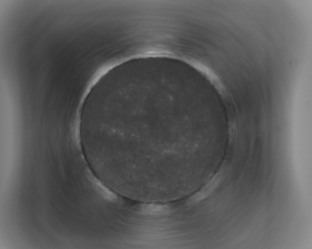 X0000111441374200907201120
