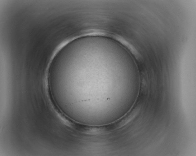 X0000111441375200907201120