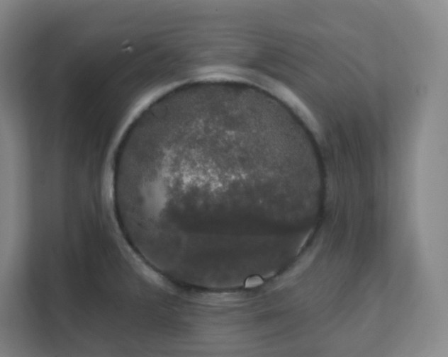 X0000111441376200907201120