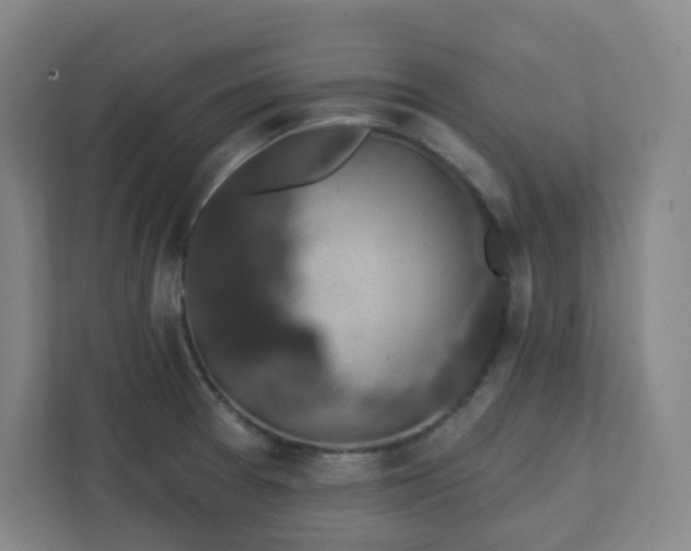 X0000111441377200907201120