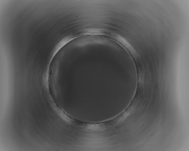 X0000111441378200907201120