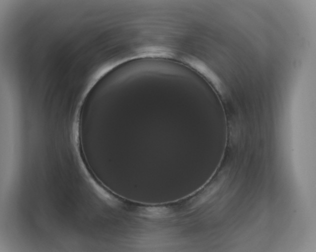 X0000111441383200907201120