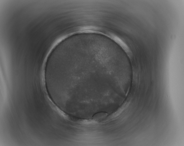 X0000111441384200907201120