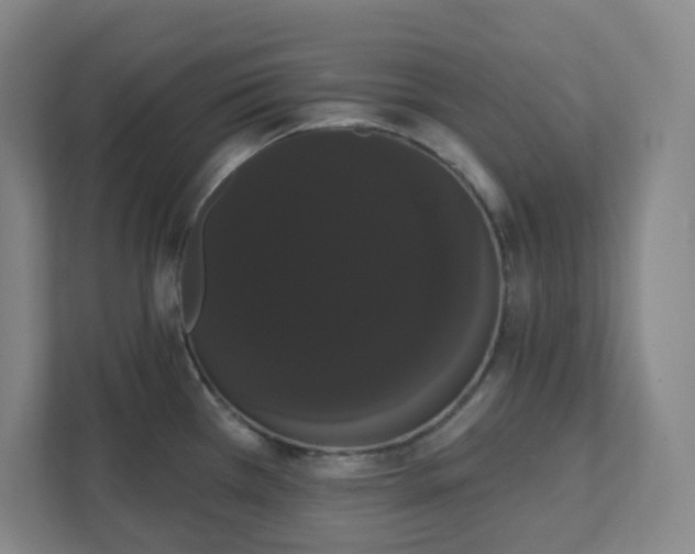 X0000111441385200907201120