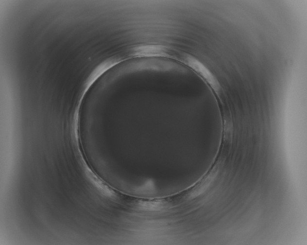 X0000111441386200907201120