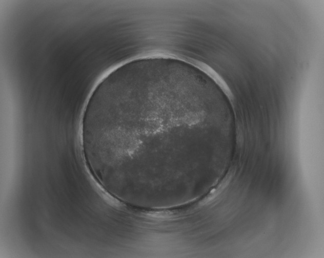X0000111441388200907201120