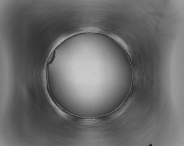 X0000111441391200907201120