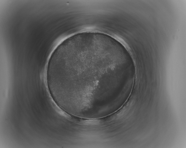 X0000111441392200907201120
