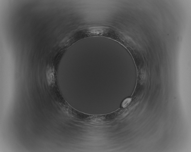 X0000111441394200907201119