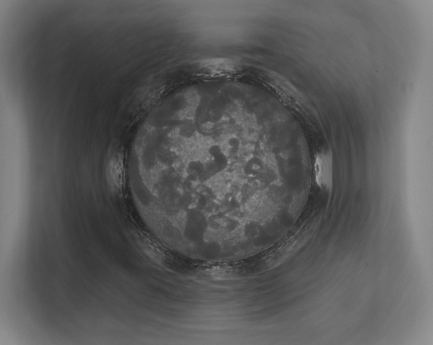 X0000111441395200907201119