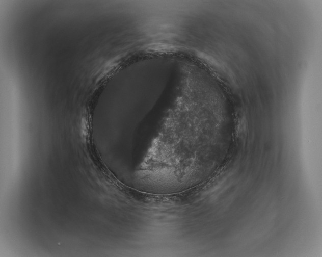 X0000111441397200907201119
