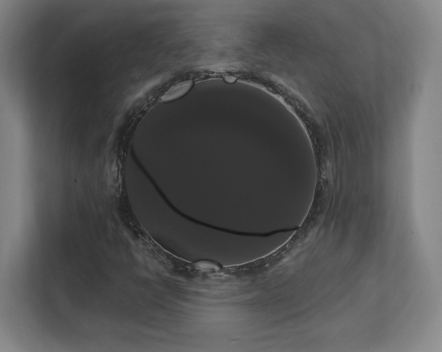 X0000111441398200907201119