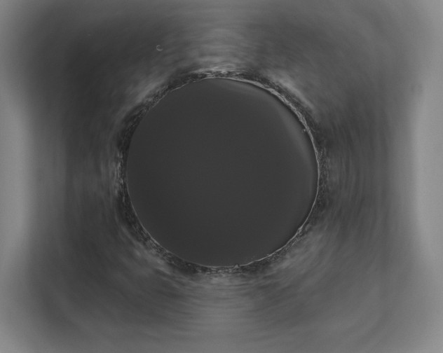 X0000111441399200907201119